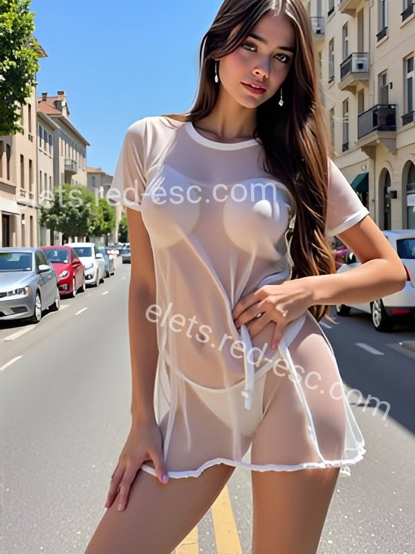 Дания — Елец